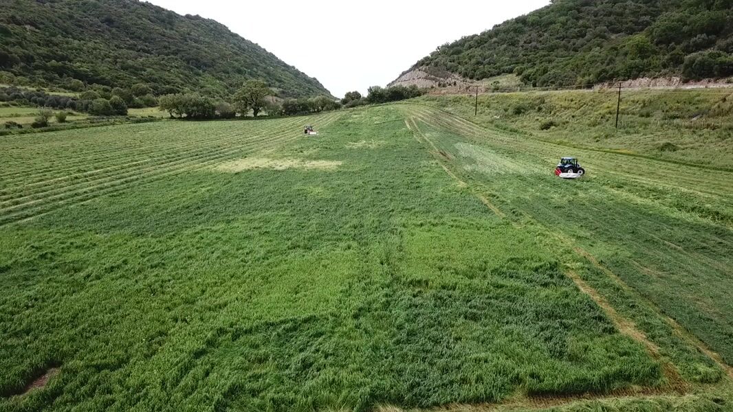 The new European strategy for agriculture and its future in Greece
